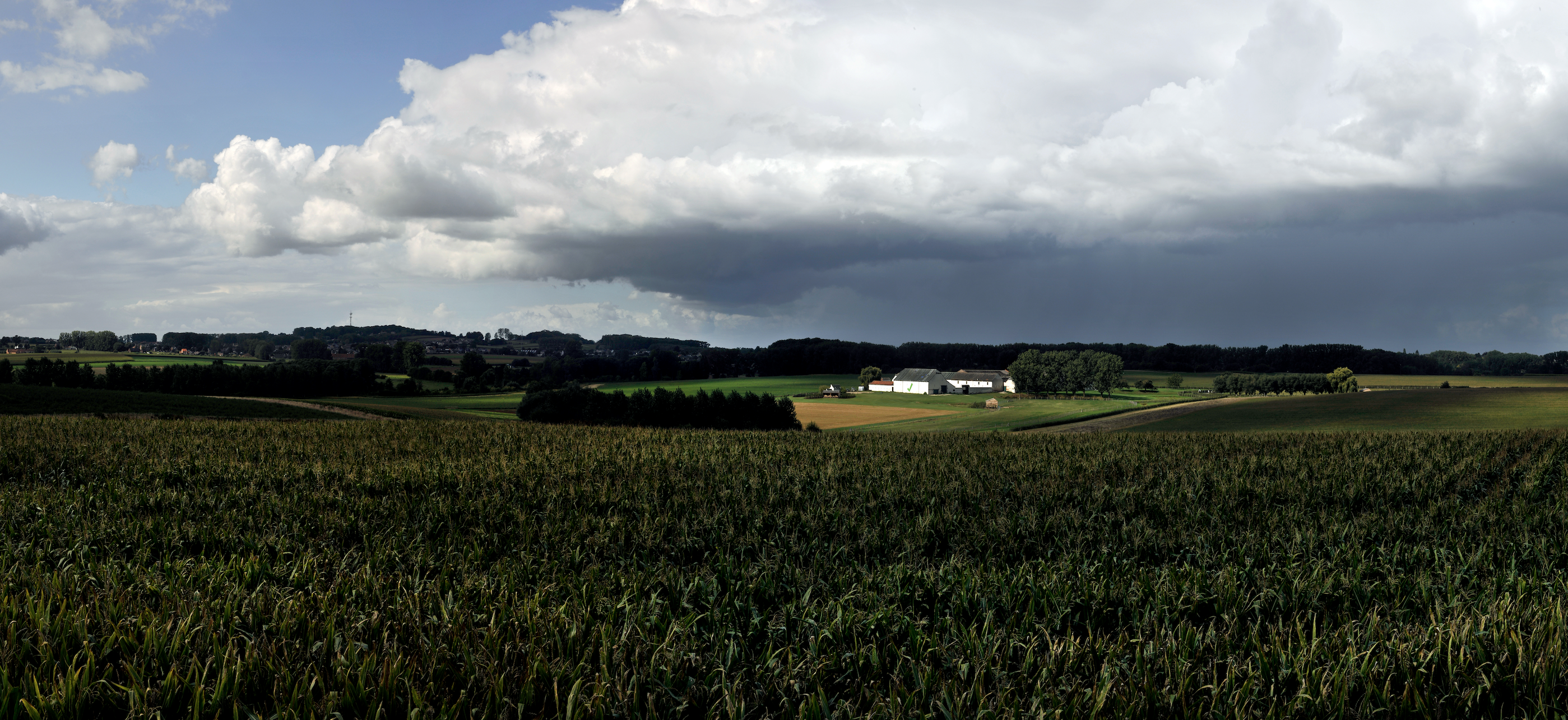De hoeve van Bree-Eik